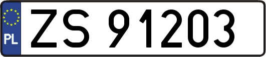ZS91203