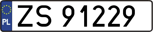 ZS91229