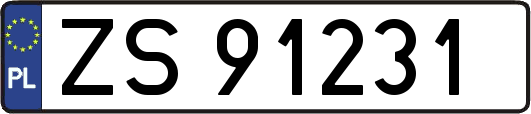 ZS91231