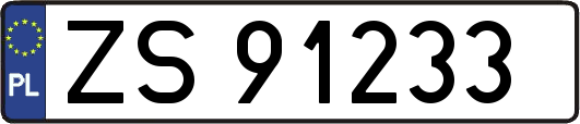 ZS91233