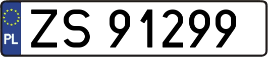 ZS91299