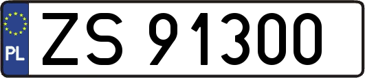 ZS91300