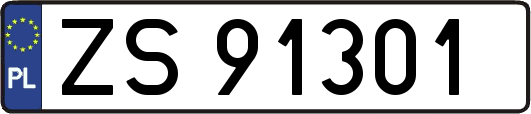 ZS91301