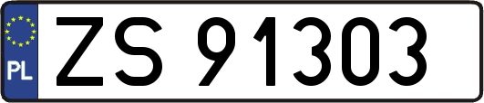 ZS91303