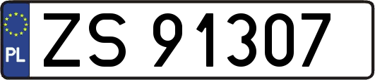 ZS91307