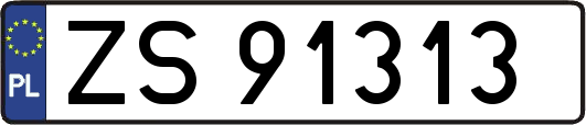 ZS91313