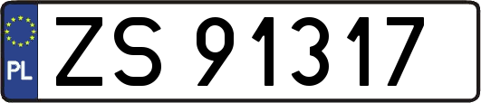 ZS91317
