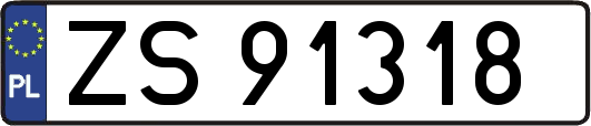 ZS91318