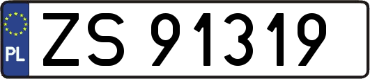ZS91319
