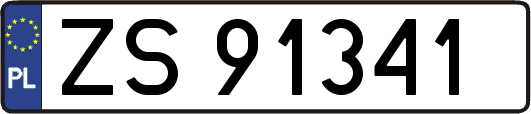 ZS91341