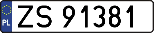 ZS91381