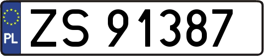 ZS91387