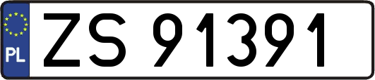 ZS91391