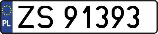 ZS91393