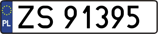 ZS91395