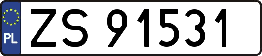 ZS91531