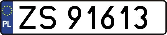 ZS91613