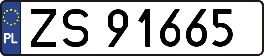 ZS91665