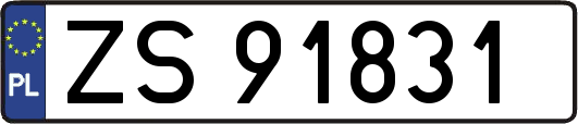 ZS91831