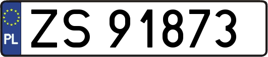 ZS91873