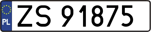 ZS91875