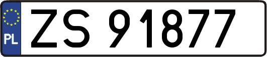 ZS91877