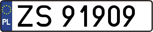 ZS91909