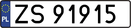 ZS91915