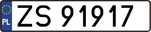 ZS91917