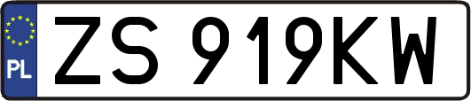 ZS919KW