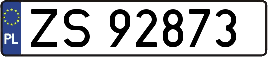 ZS92873