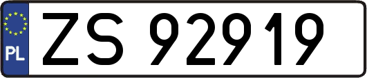 ZS92919