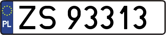 ZS93313