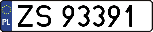 ZS93391