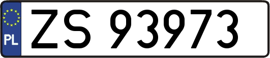 ZS93973