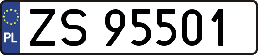 ZS95501