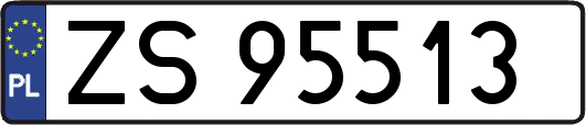 ZS95513