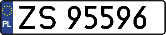 ZS95596