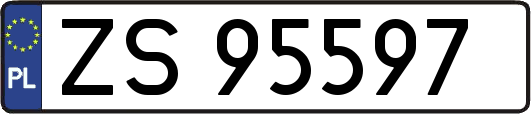 ZS95597