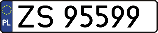 ZS95599