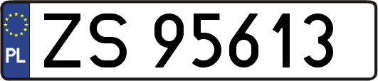 ZS95613