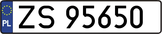 ZS95650