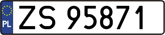 ZS95871
