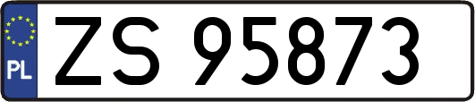 ZS95873