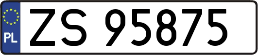 ZS95875