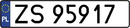 ZS95917