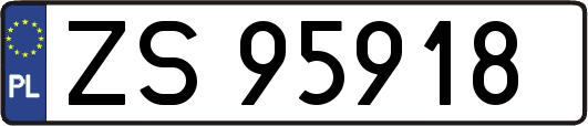 ZS95918