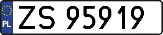 ZS95919