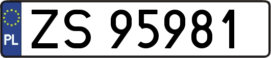 ZS95981