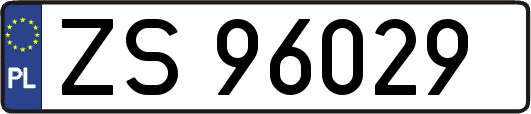 ZS96029